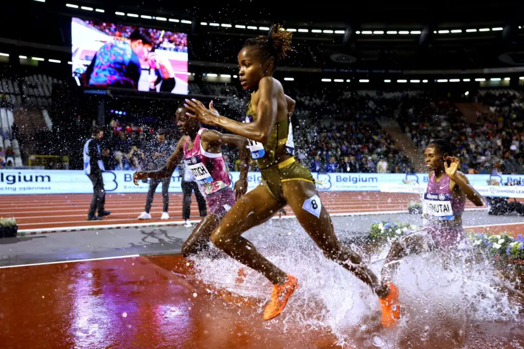 Yavi Brussels steeple 2024 MartaGorczynska
