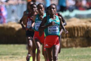 eyJrZXkiOiI2NjA3ZWFhOTQzNmVjMzQwM2ZkMWYzNjUuSlBHIiwiZWRpdHMiOnsiZXh0cmFjdCI6eyJsZWZ0Ijo0MTIsInRvcCI6MzY2LCJ3aWR0aCI6MTk4OCwiaGVpZ2h0Ijo3MTB9LCJyZXNpemUiOnsid2lkdGgiOjIwMDAsImhlaWdodCI6NzE0fX19 1